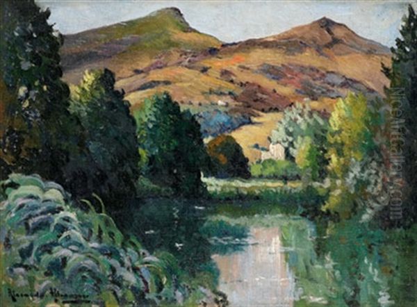 Landscape - view 1