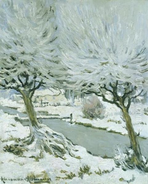 Forest In Winter - view 1
