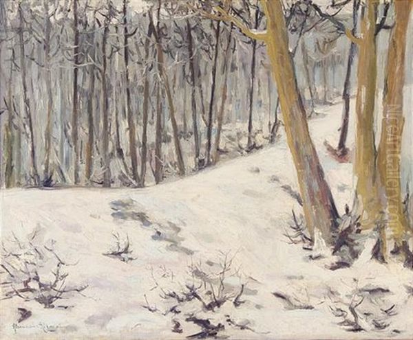 Winter Landscape - view 1
