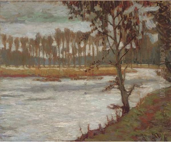 A Row Of Poplar Trees By The River - view 1