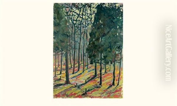 Sous-bois En Foret - view 1