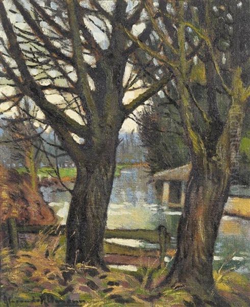 Trees By The River - view 1