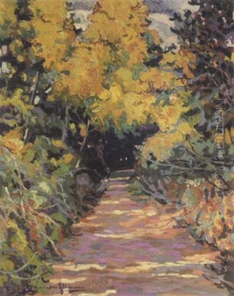 The Garden Path In Autumn - view 1