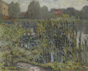 Rushes By The River Rushes By The River