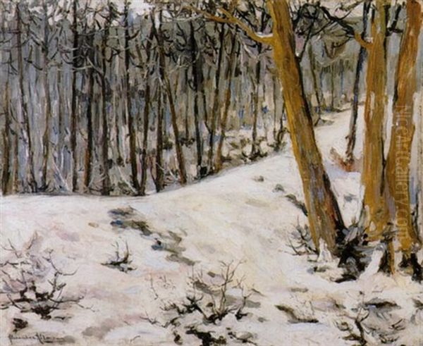 Sous-bois Enneige - view 1