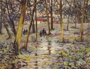 A Walk In The Forest