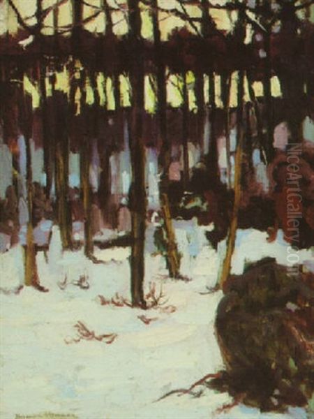 Winter Forest Scene - view 1