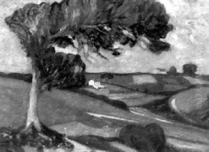 Paysage Paysage