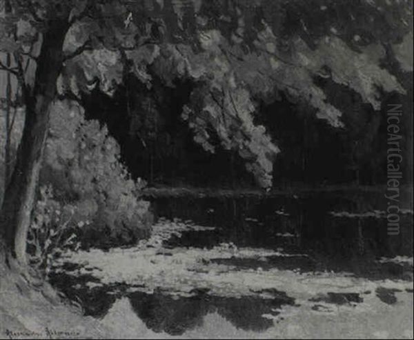 Afternoon Sunshine By The Pond - view 1