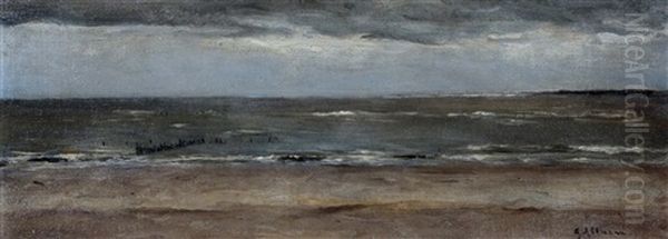 Strand Te Oostvoorne - view 1