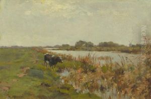 A Cow In A Polder Landscape by Gerard Altmann
