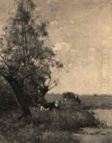 Cows On A Riverbank - view 1
