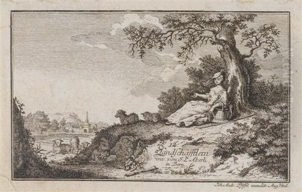 Landscape - view 1