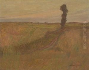 Paysage Paysage