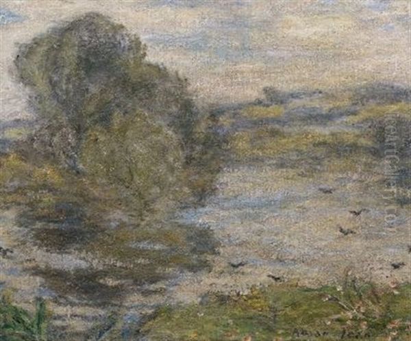 Landschaft Am Lac De Bourg-en-bresse - view 1
