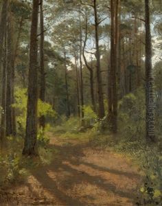 Waldinneres Bei Misdroy Im Sommer by Wilhelm Amberg