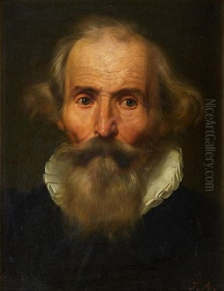 Ritratto D'uomo Con Barba - view 1