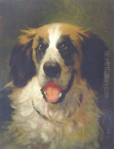 A Saint Bernard