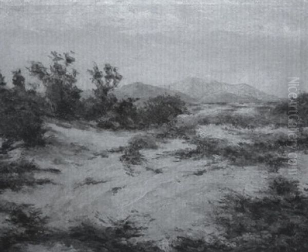 Desert Landscape With Purple Mountains And Flowering Grass - view 1