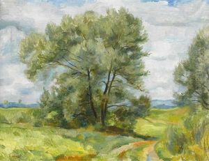 Sommerlicher Weg by Robert Amrein