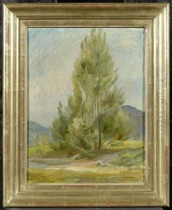Baumstudie by Robert Amrein
