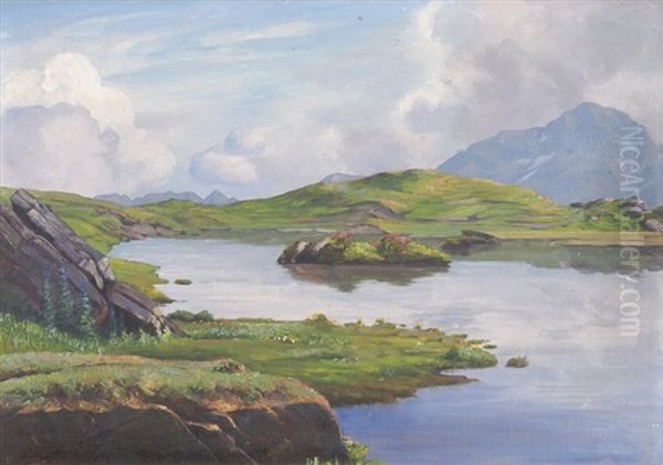 Tannensee - view 1