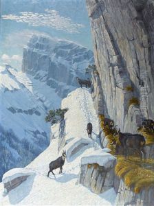 Gemsgruppe Im Gebiet Ebnet, Im Hintergrund Titlis-ostwand by Wilhelm Amrhein