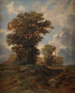 Les Chenes, Foret De Fontainebleau Les Chenes, Foret De Fontainebleau