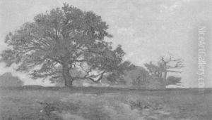 Landschaft Mit Freistehender Eiche (bei Fontainebleau) Landschaft Mit Freistehender Eiche (bei Fontainebleau)