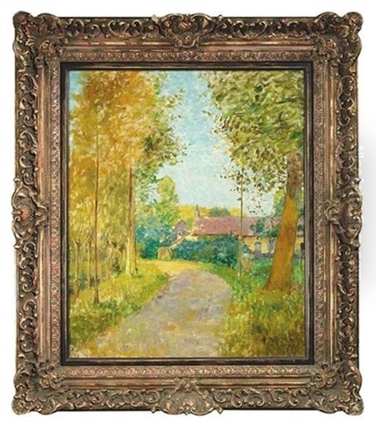Sommerlandschaft Mit Einem Fahrweg - view 1