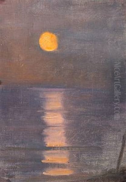 Moonlit Skagen Beach - view 1