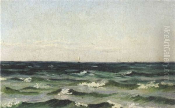 Marine - view 1
