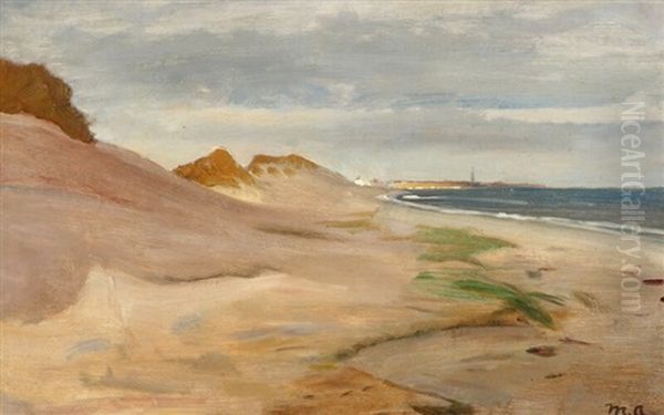 Costal Scenery With Skagen In The Sun - view 1