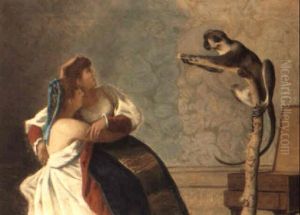 Le Belle E La Scimmia