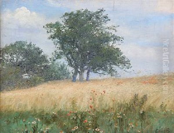 Field Landscape With Poppies - view 1