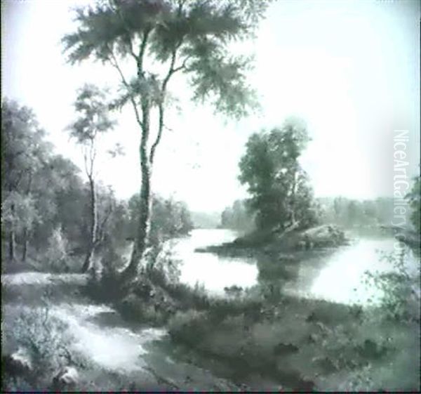 Flussbigung In Waldlandschaft - view 1