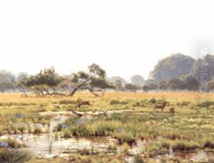 Deer In A Watermeadow by Wilhelm Andersen