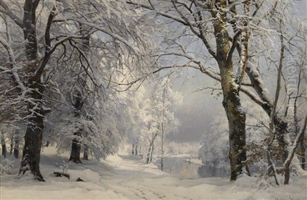 Forest In Winter - view 1