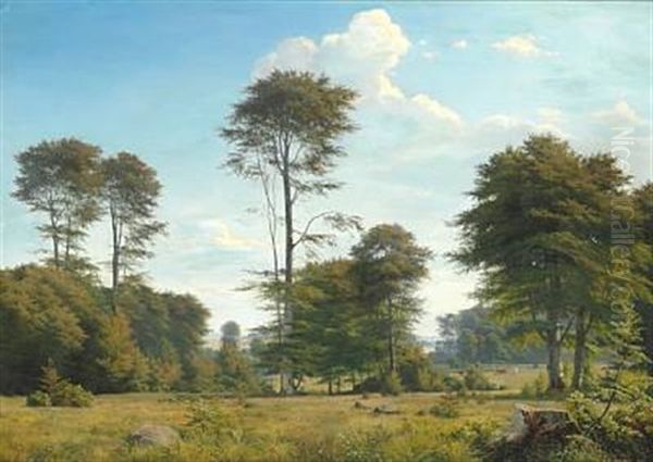 From Folehaveskov Near Rungsted - view 1