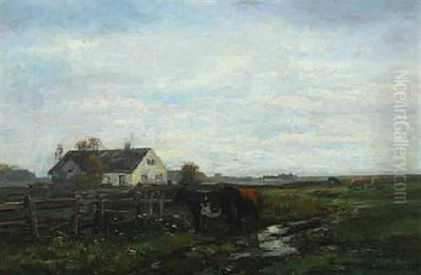 Cows In A Field Near Houses - view 1