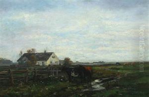 Cows In A Field Near Houses by Anders Andersen-Lundby