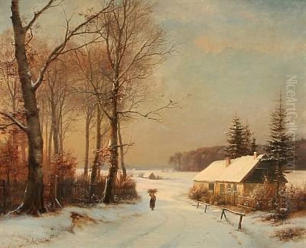 Sunny Winter Day At The Forest Edge - view 1
