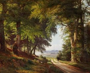 Woodland Scene With A Man Walking On A Path Woodland Scene With A Man Walking On A Path