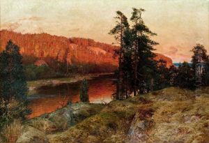Evening Sun At Farsvik by Erik Abrahamsson