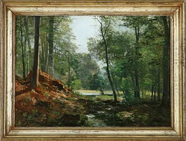 A Forest Glade - view 1