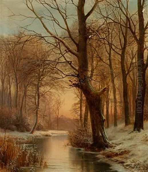 Late Afternoon In A Forest With A Frozen Brook - view 1