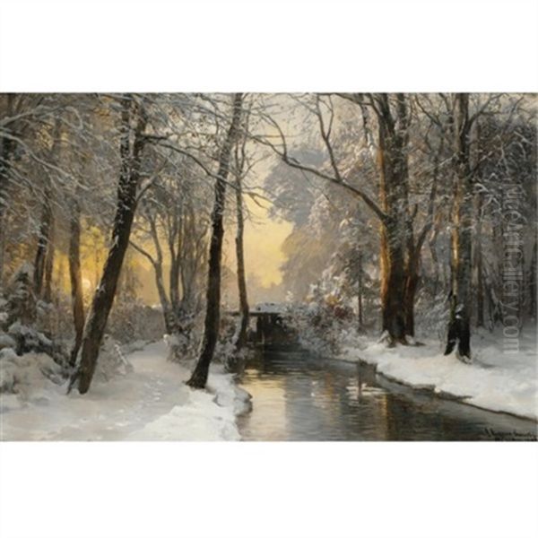 Winter Woodland At Dawn - view 1