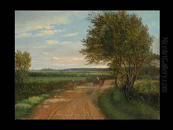 Pferdegespann Auf Sommerlicher Landstrasse - view 1