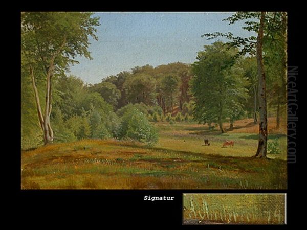 Laubwald Mit Lichtung Im Sommer - view 1