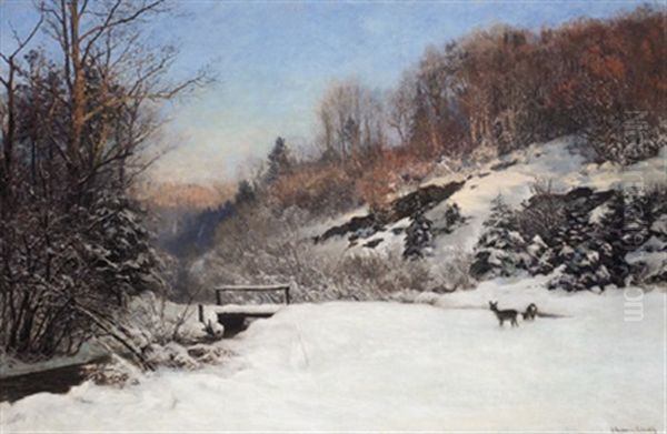 Waldlandschaft Im Winter - view 1